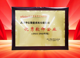 喜讯丨DB真人旗舰 DB数据获评2024~2025年度武汉市软件行业&ldquo;优秀企业&rdquo;、&ldquo;优秀工作者&rdquo;荣誉称号！